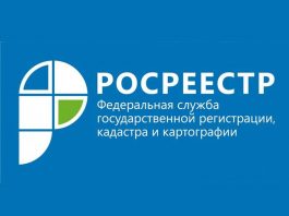 проверить на подлинность выписку из ЕГРН